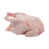 Demo — Chicken Meat